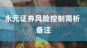 永元证券风险控制简析 备注