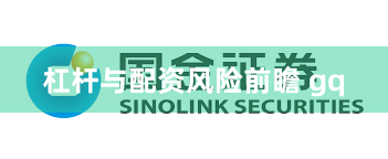 杠杆与配资风险前瞻 gq