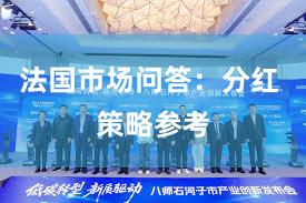 法国市场问答：分红 策略参考