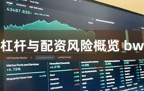 杠杆与配资风险概览 bw